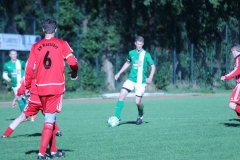 k-IMG_9512