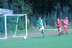 k-IMG_9519