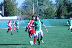 k-IMG_9539