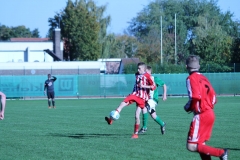 k-IMG_9542