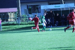 k-IMG_9555