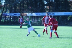 k-IMG_9611